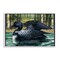 Stupell Industries Swimming Woodland Loon Framed Giclee Wall Art Design by Paul Brent